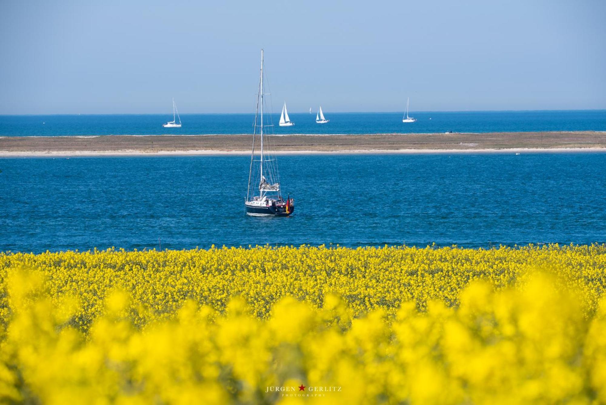 Urlaub Mit Ostseeblick, Schwimmbad, Sauna & Direkte Strandlage Kronsgaard Bagian luar foto