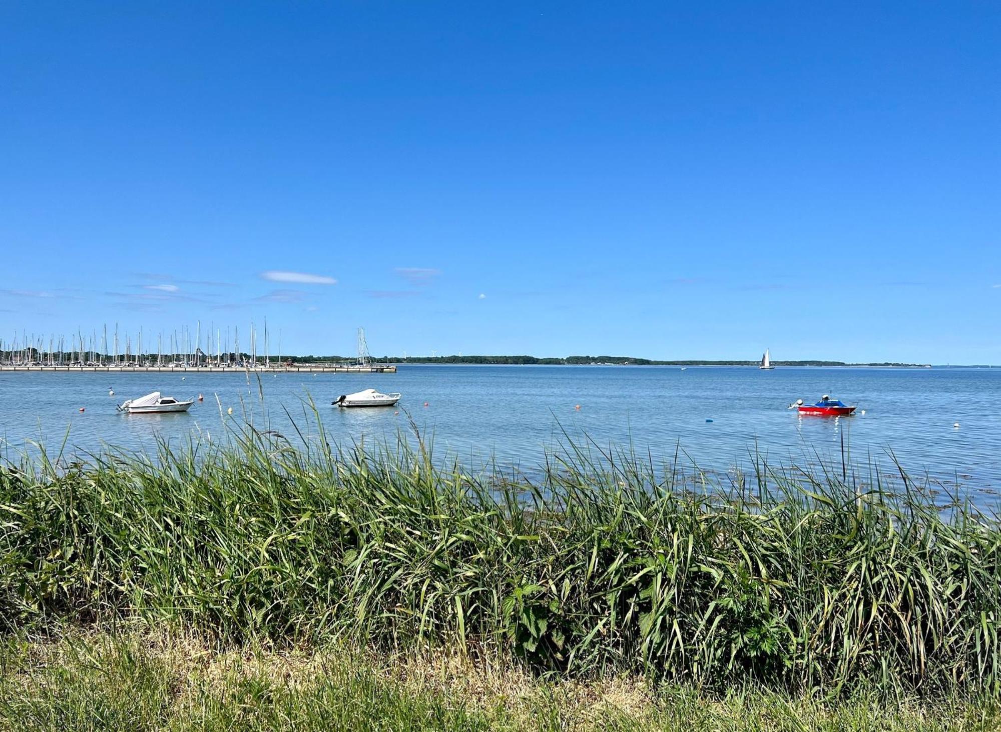 Urlaub Mit Ostseeblick, Schwimmbad, Sauna & Direkte Strandlage Kronsgaard Bagian luar foto